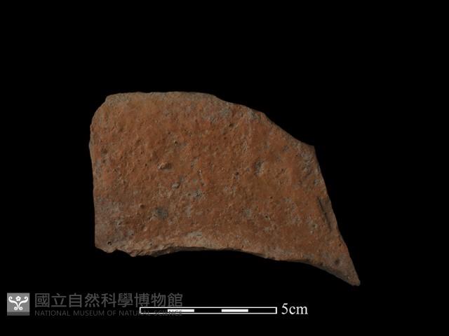 連杯形器藏品圖，第2張