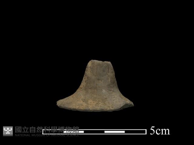 Accession Number:NP-2010-0015 Collection Image, Figure 2, Total 4 Figures