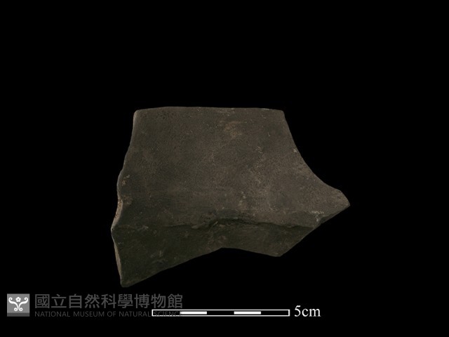 陶片藏品圖，第3張