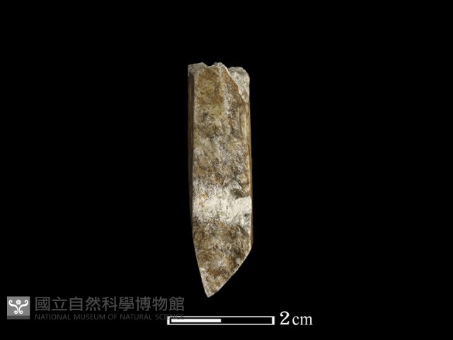 錛鑿形器藏品圖，第3張