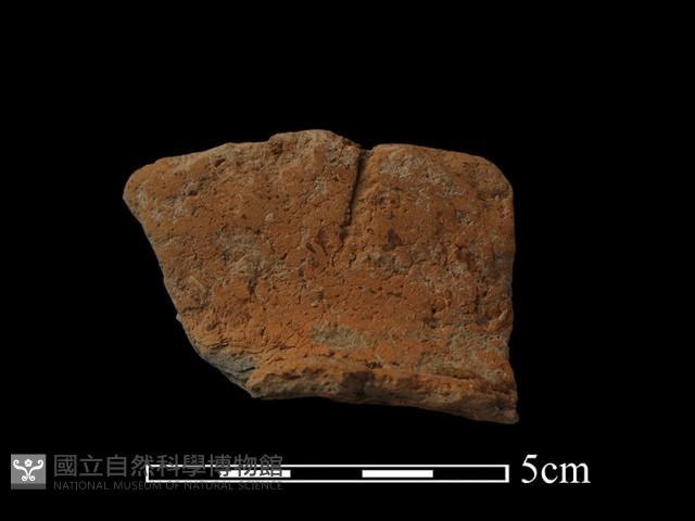 陶罐藏品圖，第1張