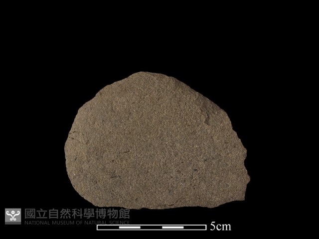 石片器藏品圖，第1張