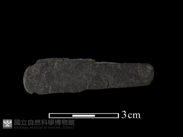 網墜藏品圖，第2張