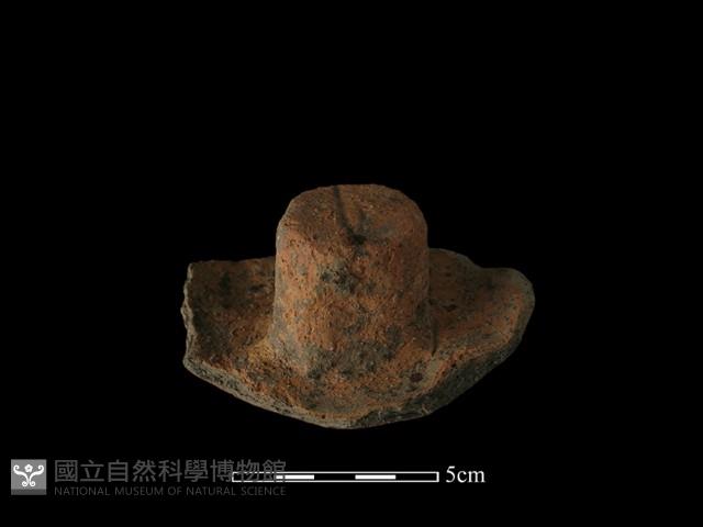 Accession Number:NP-2008-0425 Collection Image, Figure 2, Total 3 Figures