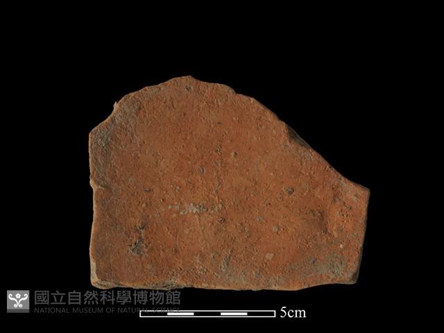 陶片藏品圖，第2張