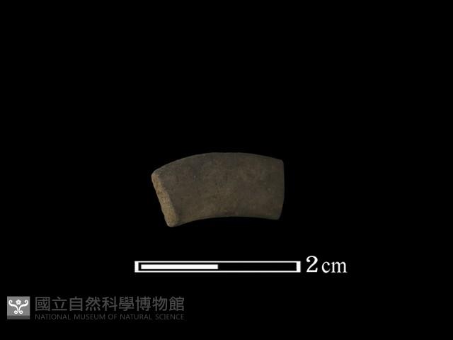 陶環藏品圖，第2張