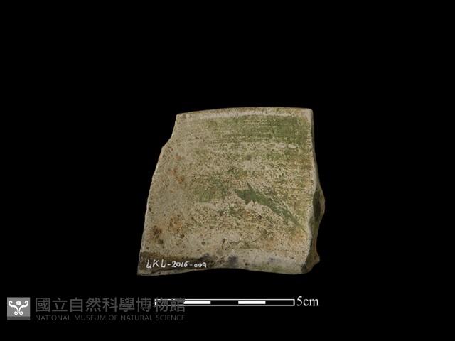 陶片藏品圖，第2張