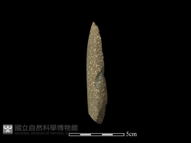 錛鑿形器藏品圖，第2張