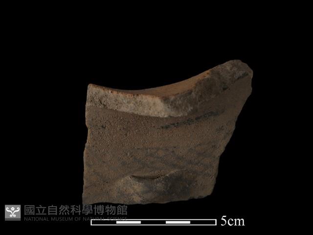 Accession Number:NP-2008-0409 Collection Image, Figure 2, Total 2 Figures