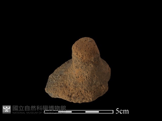 陶蓋鈕藏品圖，第2張