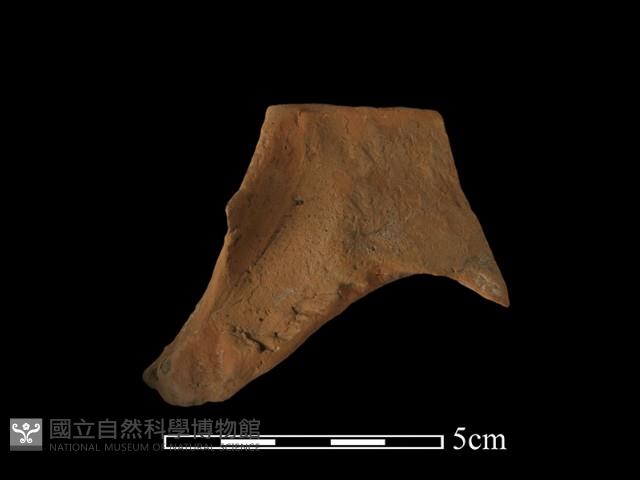 連杯形器藏品圖，第2張