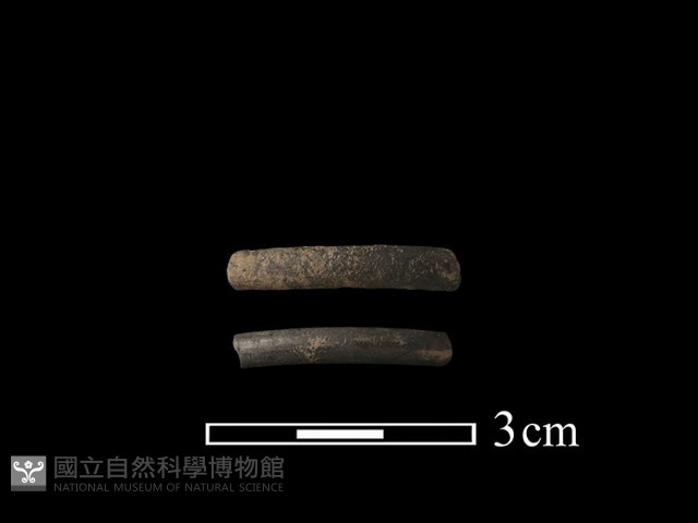 陶環藏品圖，第1張