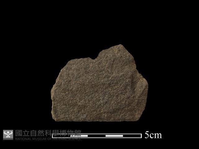 石鋸藏品圖，第3張