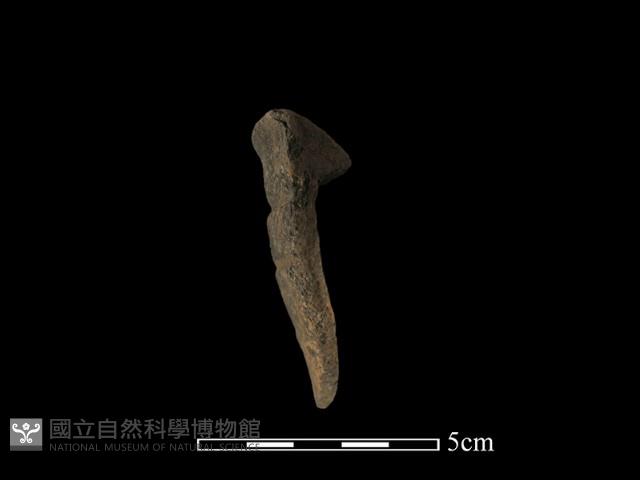 陶罐藏品圖，第1張