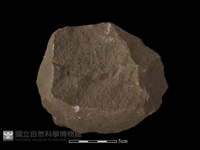 Accession Number:NP-2008-0389 Collection Image, Figure 2, Total 2 Figures