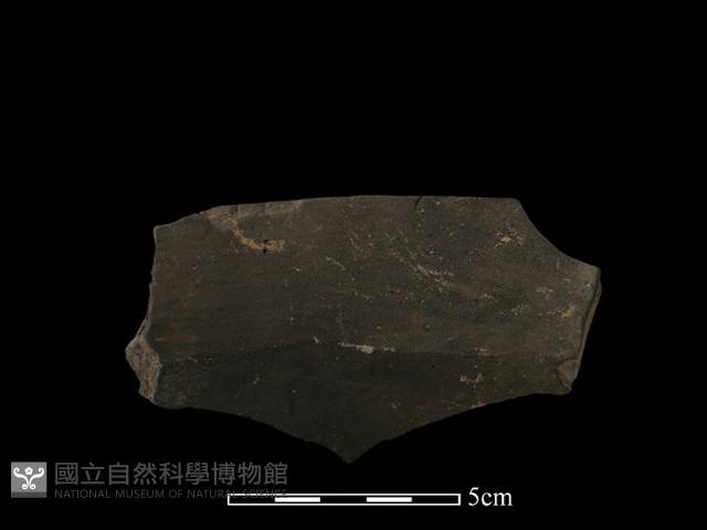 陶罐藏品圖，第1張