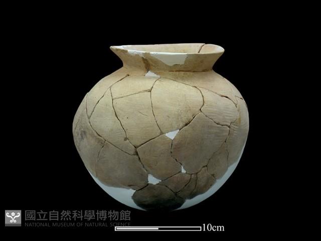 陶罐藏品圖，第3張