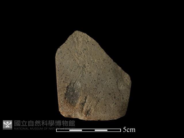 錛鑿形器藏品圖，第2張