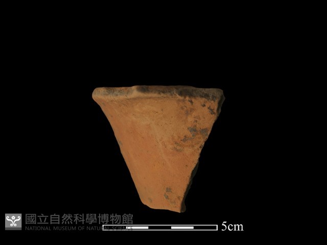 陶片藏品圖，第2張