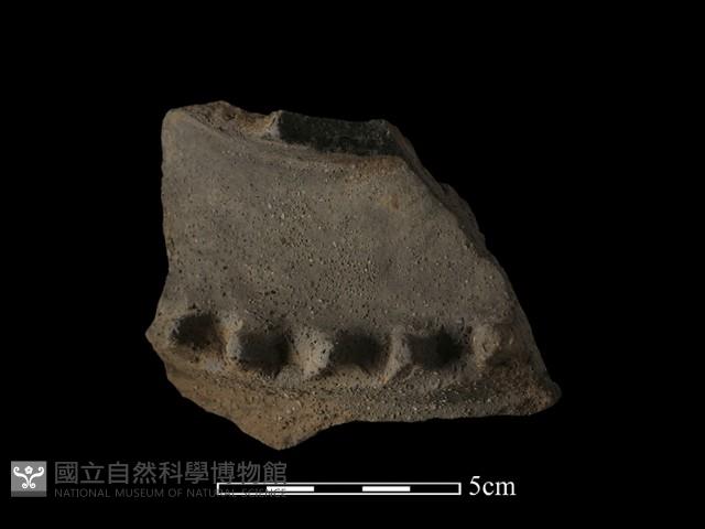 陶罐藏品圖，第1張