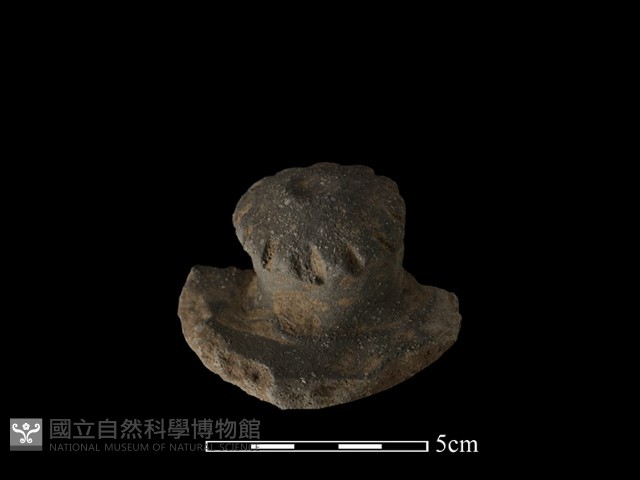 陶蓋鈕藏品圖，第1張