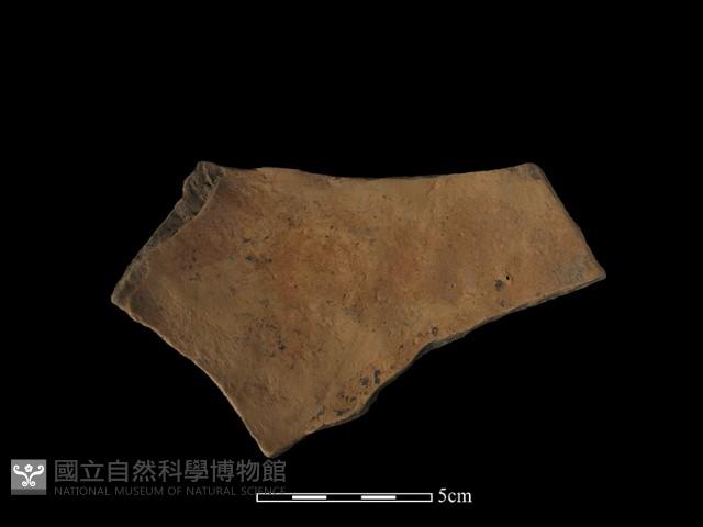 陶片藏品圖，第1張