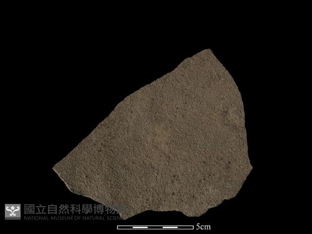 陶片藏品圖，第1張