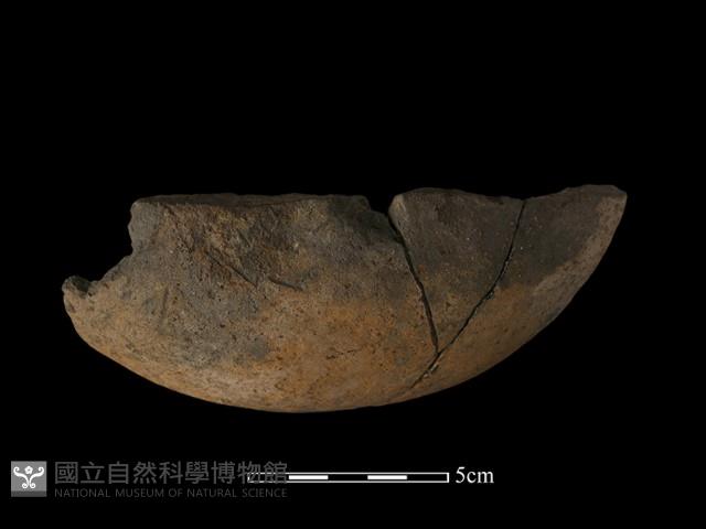 陶片藏品圖，第1張