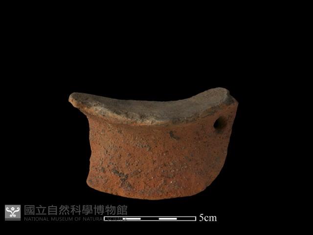 陶罐藏品圖，第3張