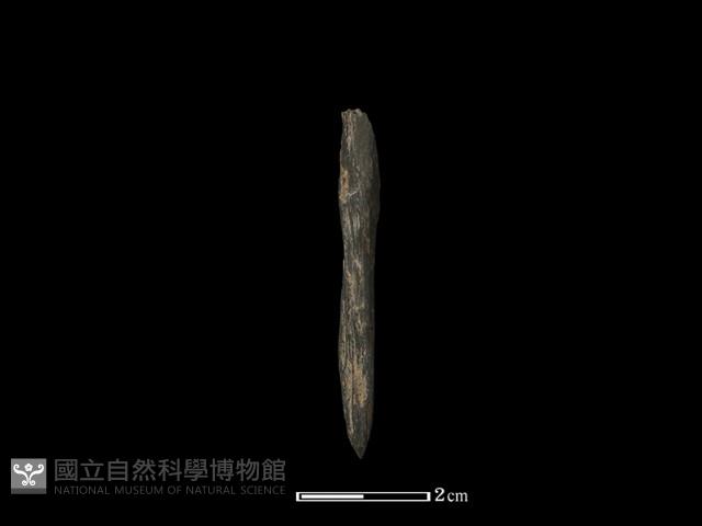 錛鑿形器藏品圖，第1張