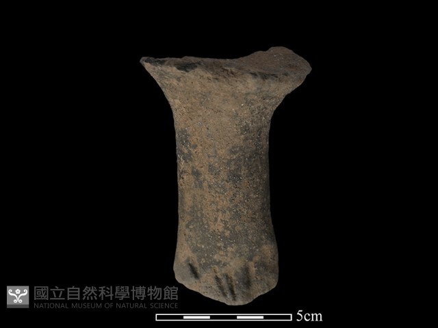 獸足藏品圖，第1張