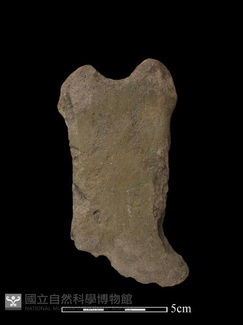 磨製斧鋤形器藏品圖，第2張