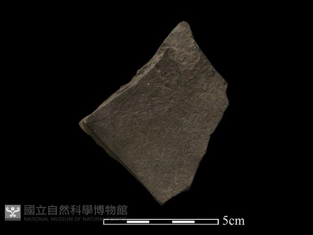 陶片藏品圖，第2張