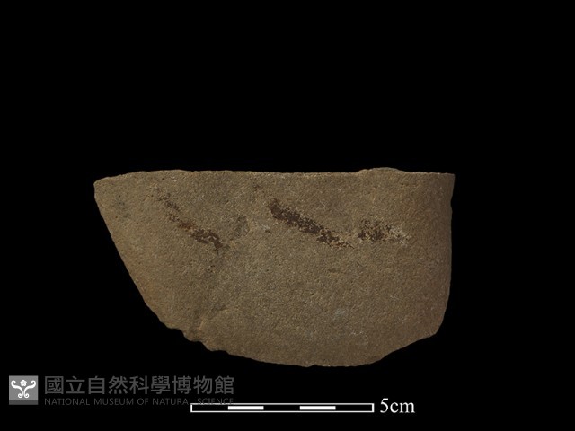 石片器藏品圖，第1張