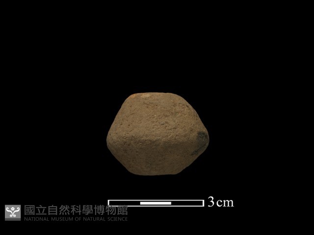 紡輪藏品圖，第1張