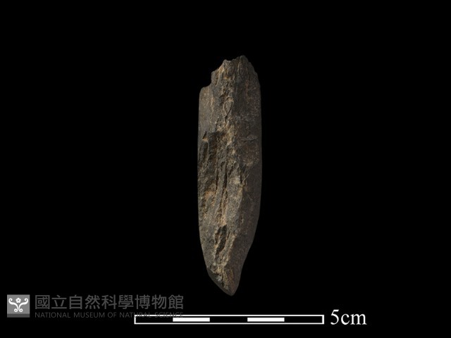 錛鑿形器藏品圖，第3張