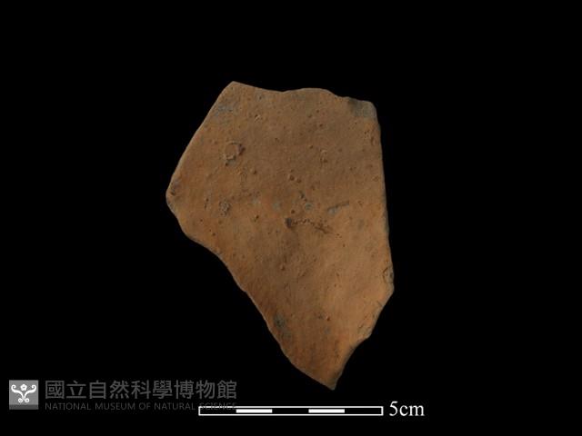 連杯形器藏品圖，第1張