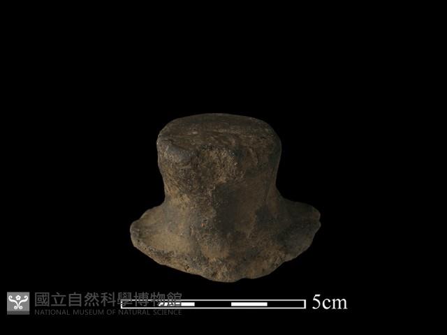 陶蓋鈕藏品圖，第1張