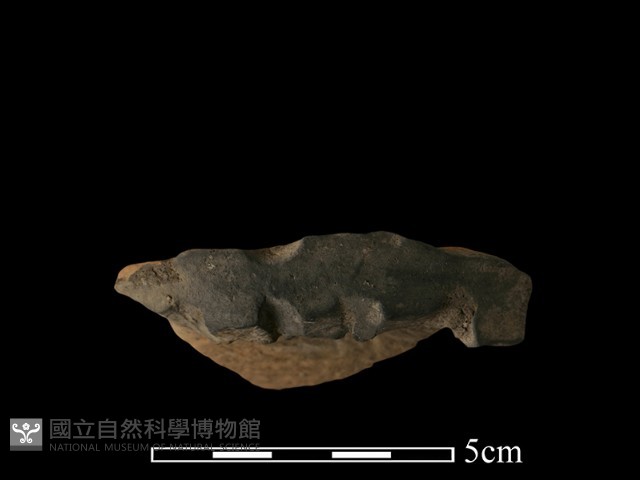 陶罐藏品圖，第3張