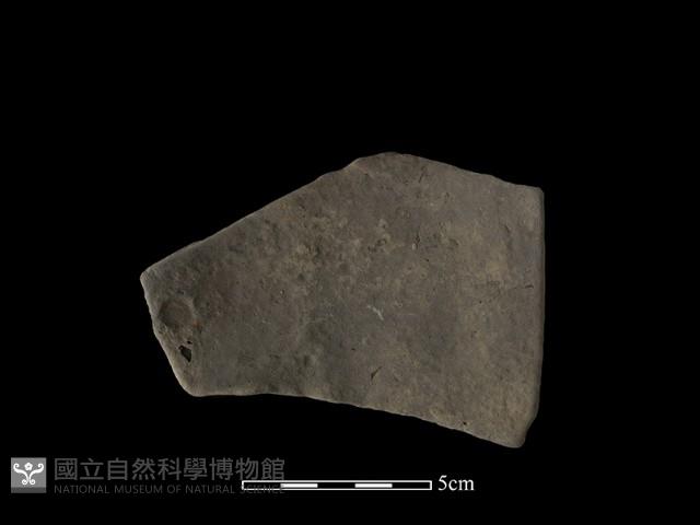 陶片藏品圖，第1張