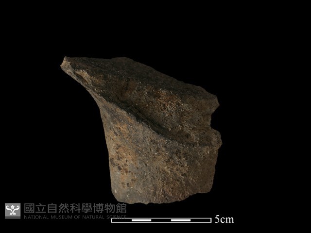 陶蓋藏品圖，第1張