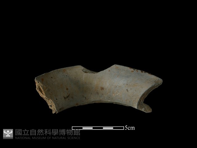 陶罐藏品圖，第3張