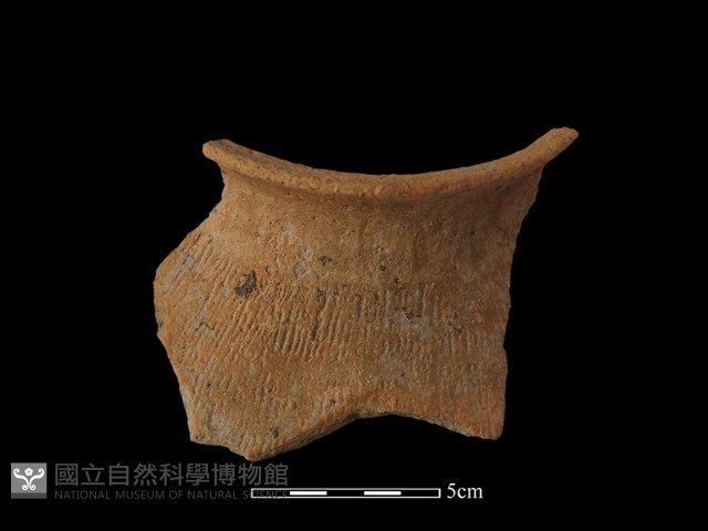陶罐藏品圖，第2張