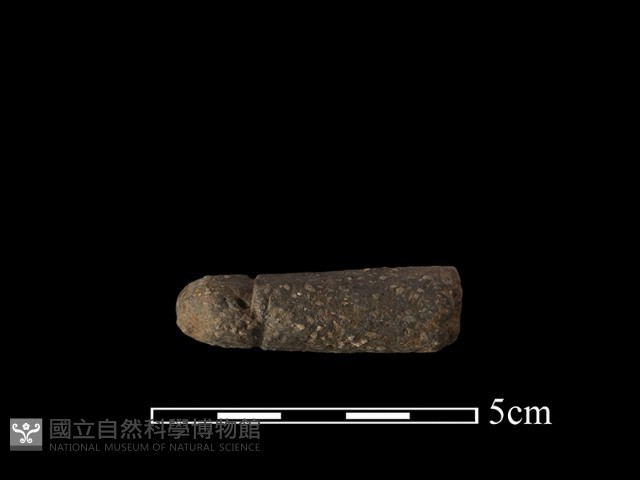 陶網墜藏品圖，第3張