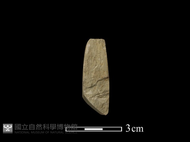 錛鑿形器藏品圖，第3張