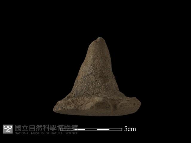 陶蓋鈕藏品圖，第1張