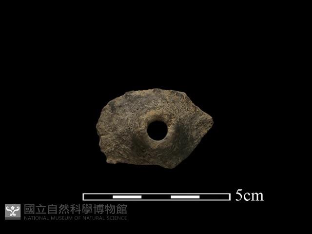 紡輪藏品圖，第1張