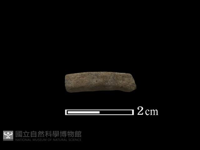 陶環藏品圖，第2張