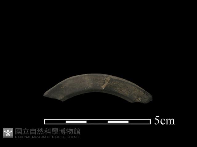 陶環藏品圖，第3張