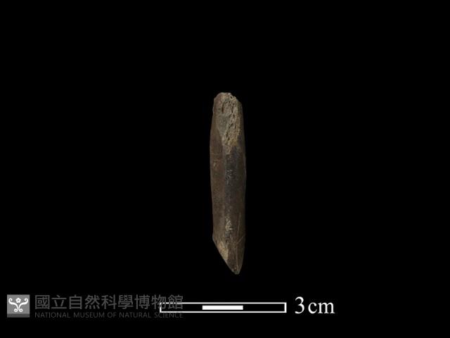 錛鑿形器藏品圖，第2張